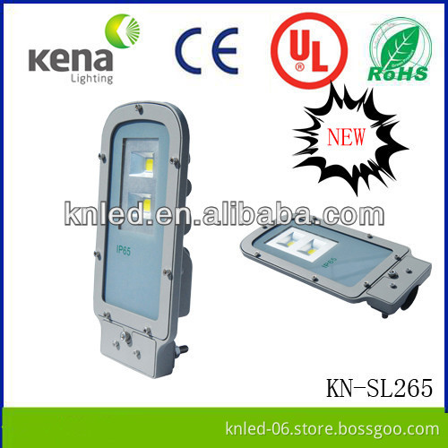 2 pcs LED COB led street light 10w for DC or AC input for yard ,urban , garden lighting